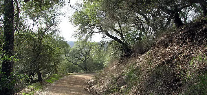 10 Best Hiking And Trekking Spots In Ojai, California