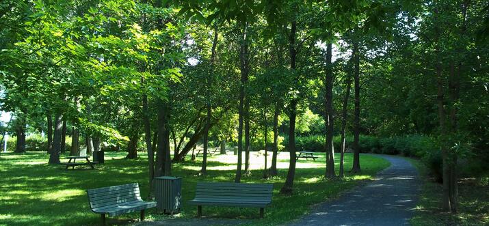 hiking in montreal