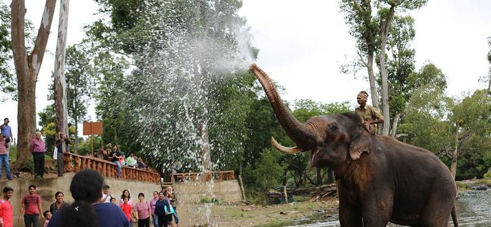things to do in coorg