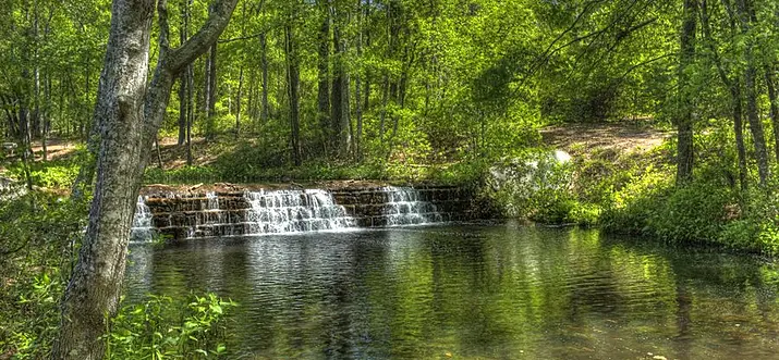 Top 10 Romantic Things To Do In Columbia, South Carolina