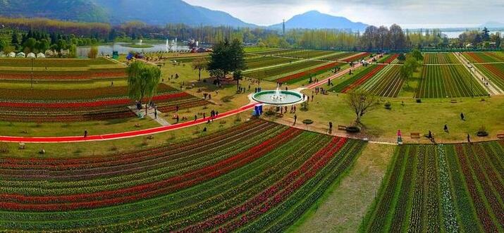 places to visit in india in april