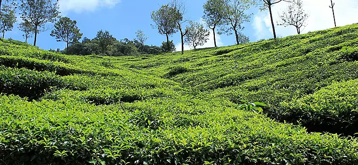 10 Places To Visit In India In September