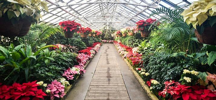 romantic things to do in cleveland