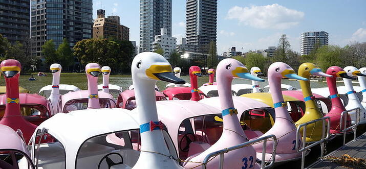 romantic things to do in tokyo