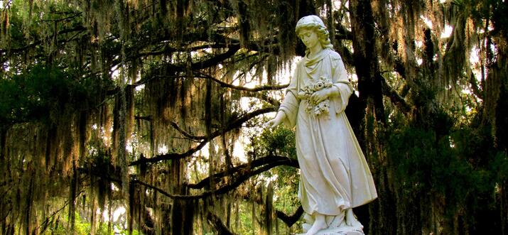 Bonaventure Cemetery