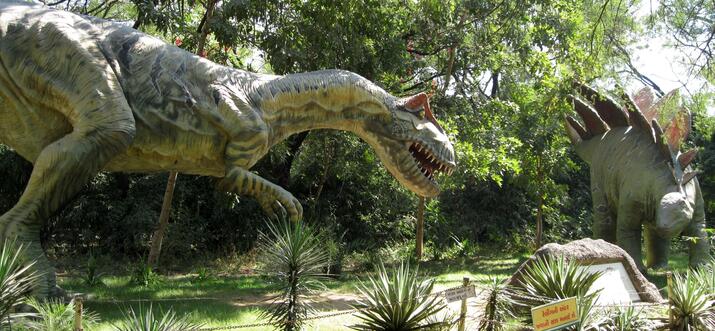9 Meilleures choses à faire à Plant City, Floride