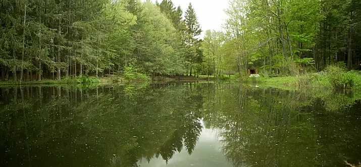 12 Best Glamping Spots In Poconos, Pennsylvania - Updated 2025