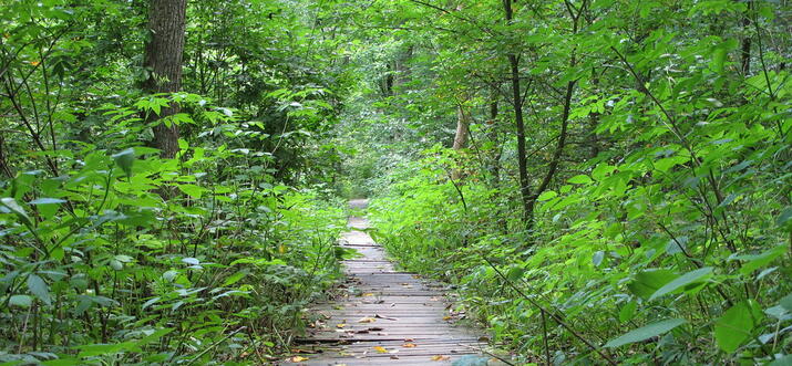 John Bryan State Park Ohio