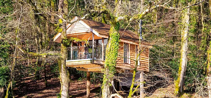 17 Best Treehouse Hotels And Vacation Rentals In England, UK