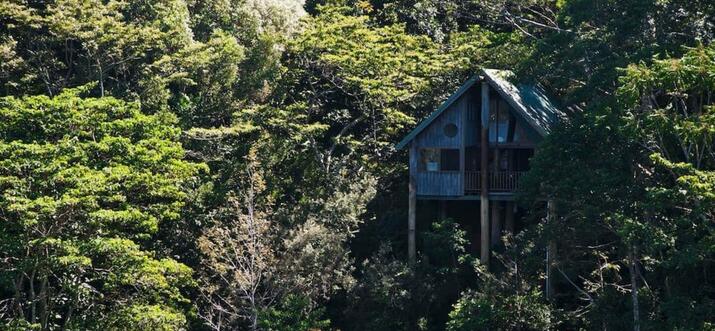 treehouse accommodation qld