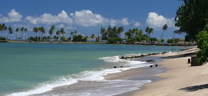 Plages, bière et plus: 10 choses à découvrir à Rincon, Porto Rico