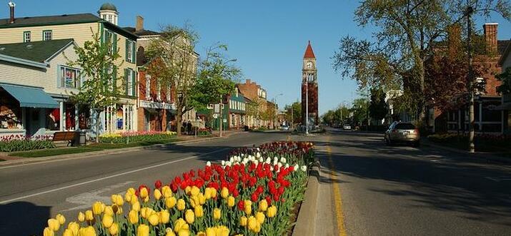 wine tours in ontario