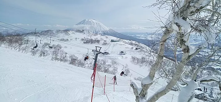 11 Best Ski Resorts In Japan: Holiday Fun For Everyone