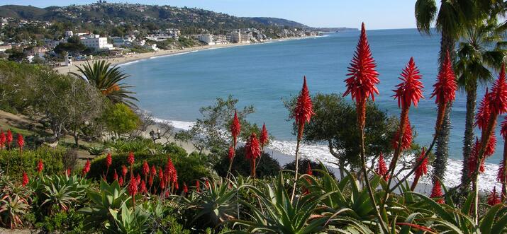 11 Meilleures choses à faire à Laguna Niguel, Californie