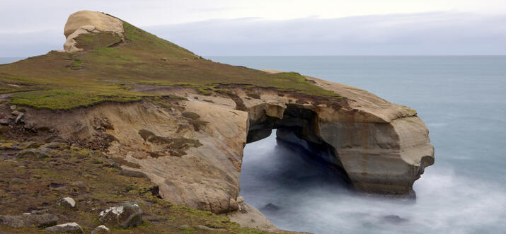 12 Choses passionnantes à faire à Dunedin, NZ