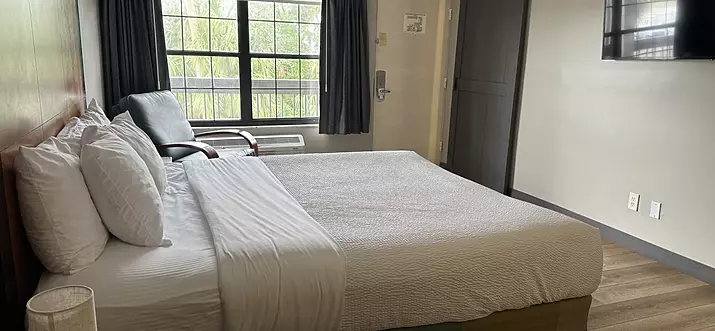 Top 12 Pet-Friendly Hotels In Tampa, Florida