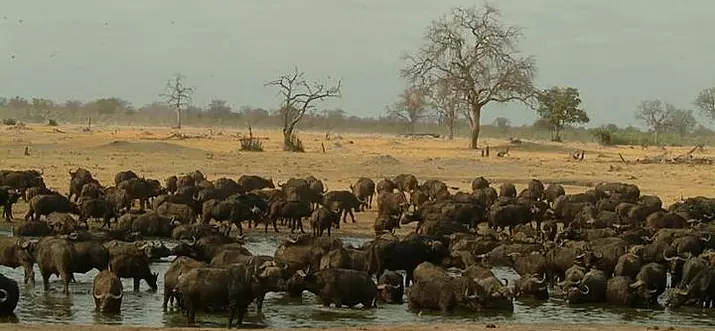 10 Best National Parks In Zimbabwe