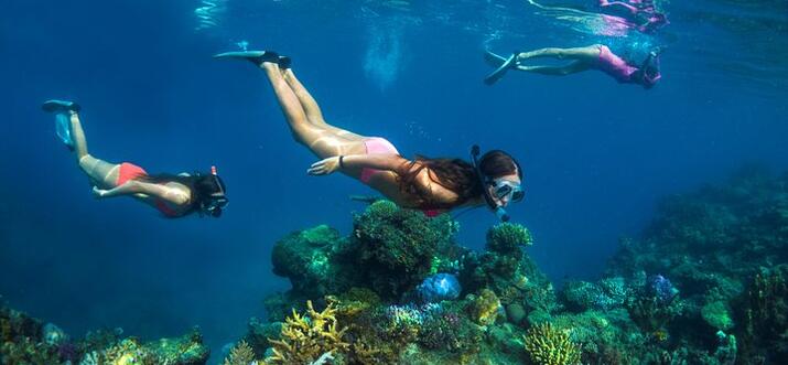 island tours in fiji