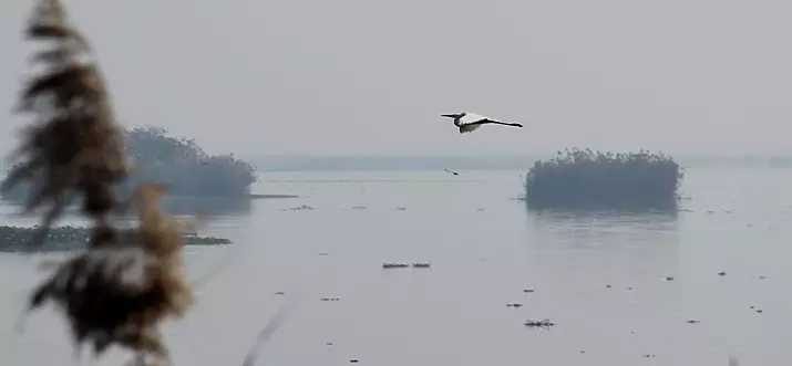 10 Best Wildlife Sanctuaries In Punjab, India