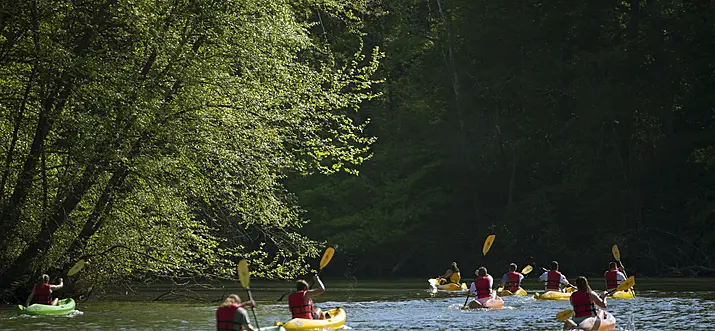 10 Handpicked Things To Do At Night In Charlotte, North Carolina