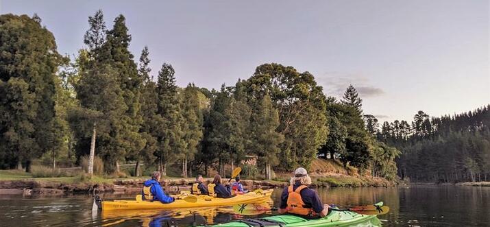 things to do in tauranga