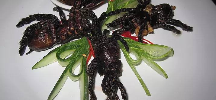 11 Best Places To Eat In Cambodia