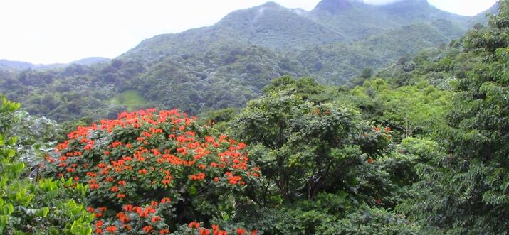 things to do in puerto rico