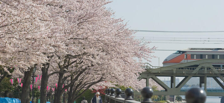 From Asakusa To Akihabara: A Day Itinerary of Tokyo's Past & Present