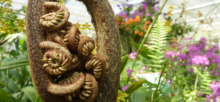 Top 14 Things To Do In Surin, Thailand: A Cultural Paradise