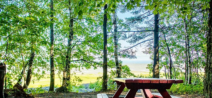 Top 11 Campsites Near Quebec City, Canada