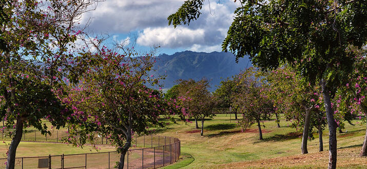 things to do in waipahu