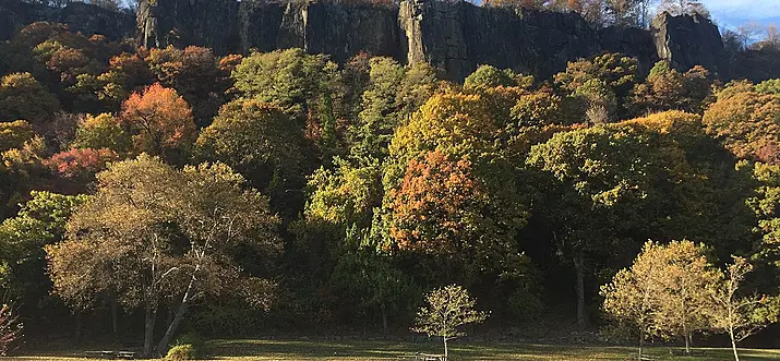 Top 12 Things To Do In Fort Lee, New Jersey