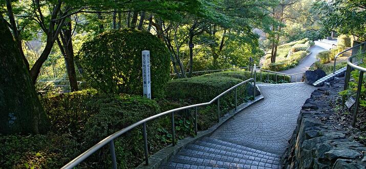 things to do in tokushima