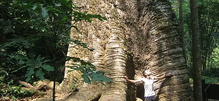 10 Best Things To Do In Mae Sot, Thailand