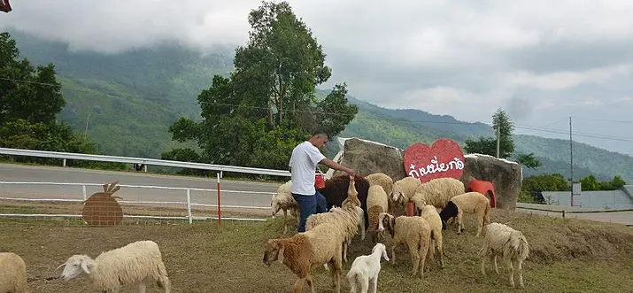 Take A Trip To Thailand’s Phu Tub Berk For Awesome Views And Fun!