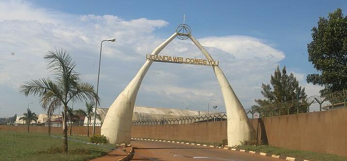 things to do in entebbe