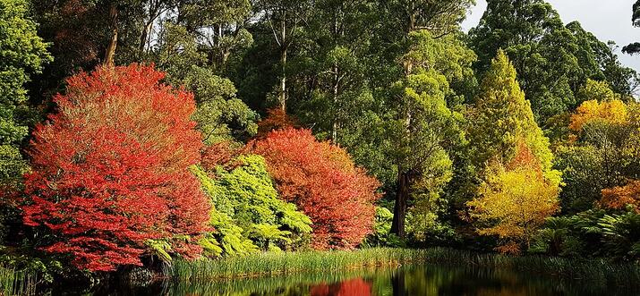 things to do in olinda