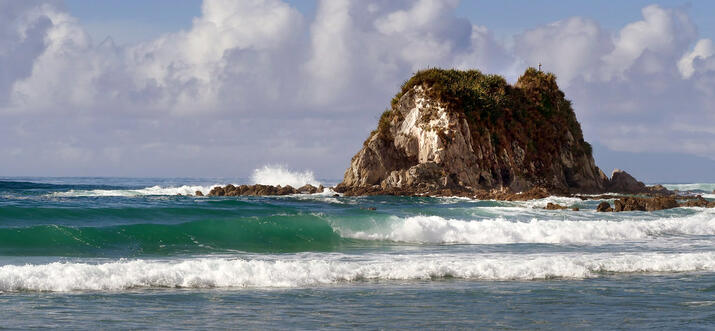 things to do in Mangawhai