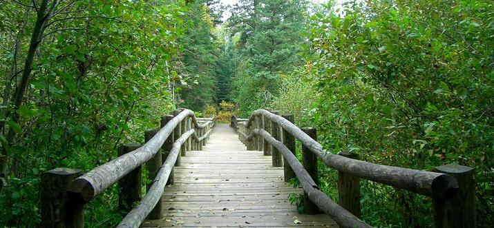 Get Down With Mother Nature: Things To Do At Park Rapids, Minnesota
