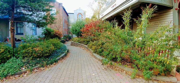 lofts for rent in nj