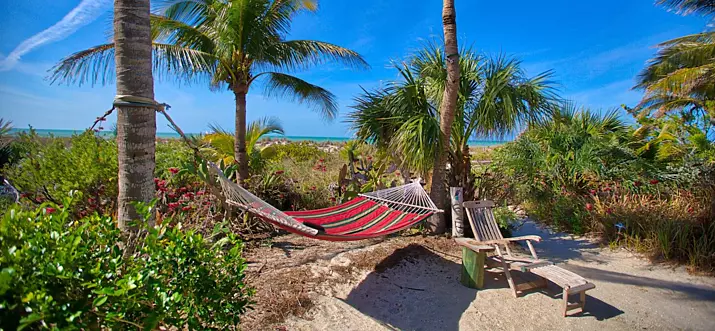 28 Best Pet-Friendly Vacation Rentals On Sanibel Island, Florida