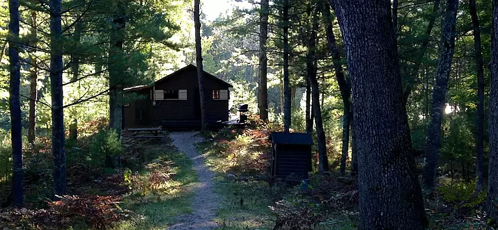 12 Best Pet-Friendly Vacation Rentals In Michigan, USA