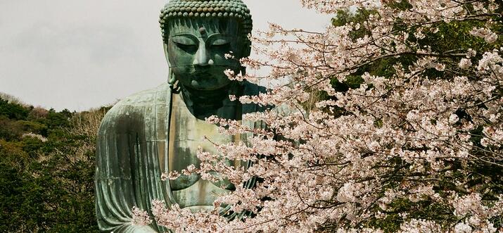things to do in kamakura Japan
