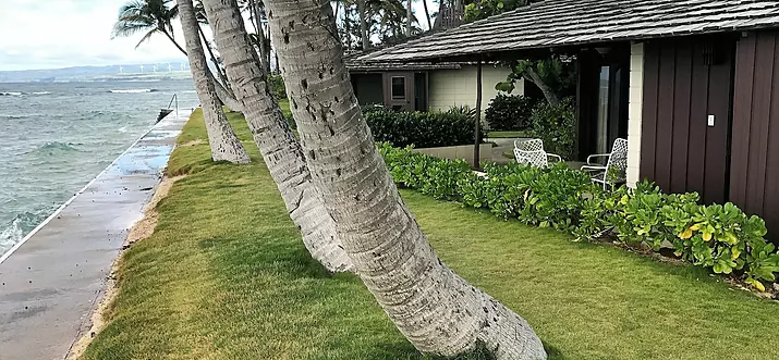 12 Best Airbnb Vacation Rentals In Oahu North Shore, Hawaii
