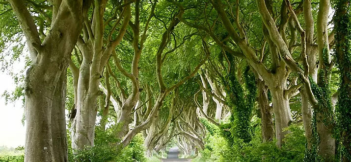 A Touch Of Magic: 11 Breathtaking Places In The United Kingdom