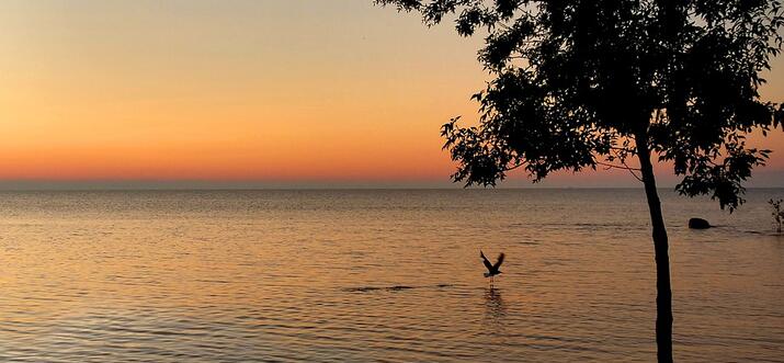 lakes in detroit