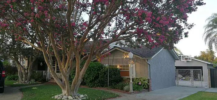 10 Best Airbnb Vacation Rentals In Arcadia, California