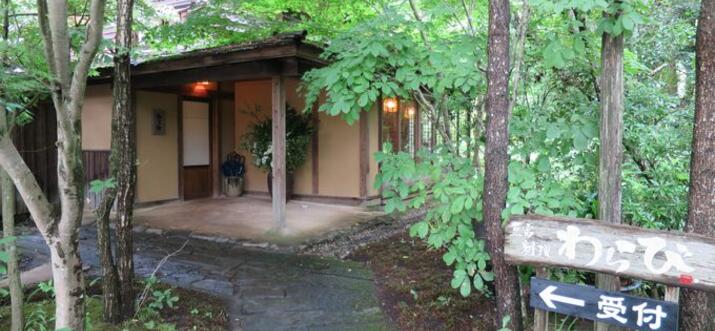 Hirayama Onsen Rising in Popularity! Yamato Ryokan’s Beautifying Bath and Onsen Tofu