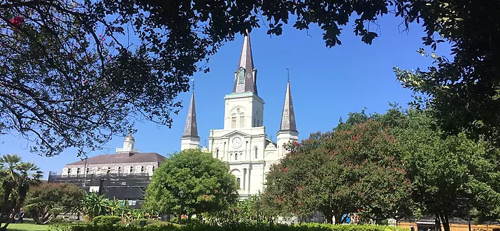 13 Handpicked Airbnb Experiences In New Orleans, Louisiana