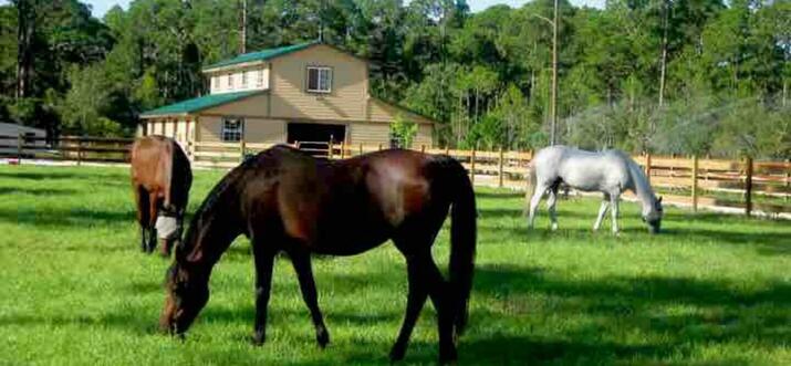 ranches in florida